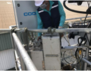 Tác động môi trường của phát triển điện gió trên vùng biển Việt Nam 3