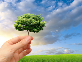 Đánh giá tác động môi trường