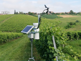 Dịch vụ quan trắc môi trường