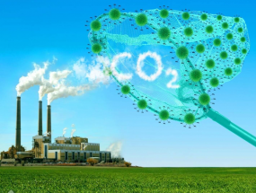 Dịch vụ kiểm kê khí nhà kính