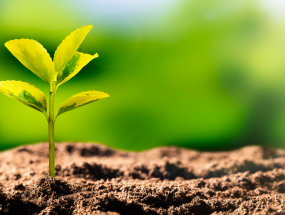 Giấy Phép Môi Trường